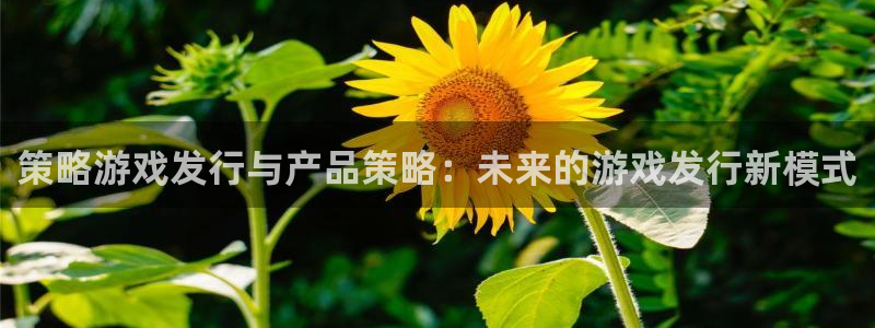 杏耀龙：策略游戏发行与产品策略：未来的游戏发行新模式