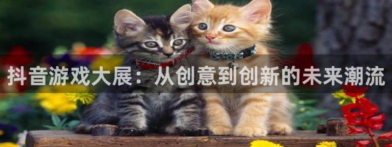杏耀官网平台代理条件怎么样：抖音游戏大展：从创意到创新的未来潮流