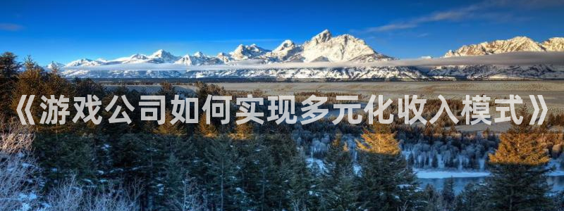 广东杏耀：《游戏公司如何实现多元化收入模式》