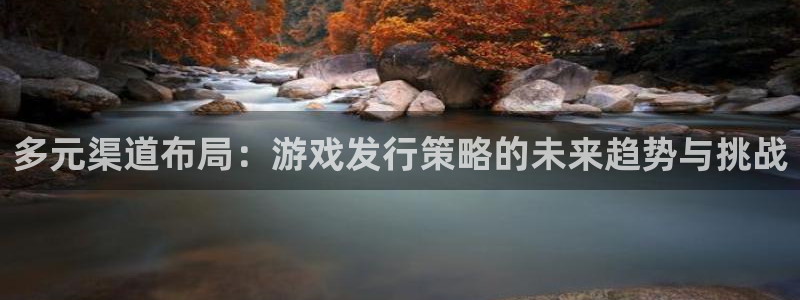 杏耀平台：多元渠道布局：游戏发行策略的未来趋势与挑战