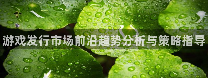 杏耀工坊：游戏发行市场前沿趋势分析与策略指导