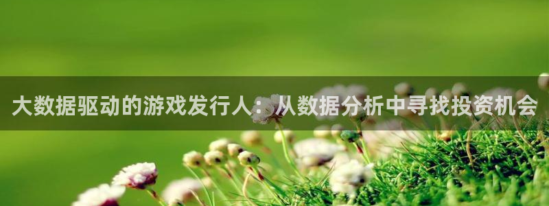 杏耀官网注册平台官网：大数据驱动的游戏发行人：从数据分析中寻找投资机会