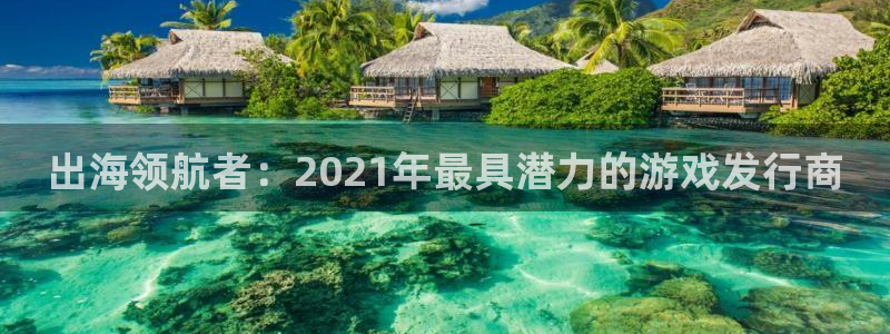 杏耀官网注册平台登录入口：出海领航者：2021年最具潜力的游戏发行商