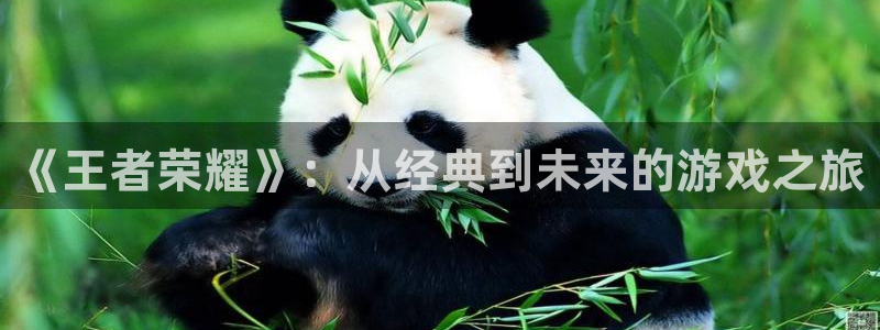 杏耀啤酒怎么样：《王者荣耀》：从经典到未来的游戏之旅