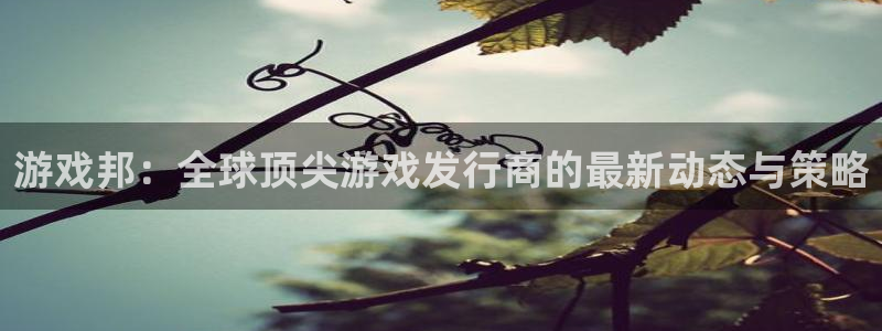 杏耀子寓意：游戏邦：全球顶尖游戏发行商的最新动态与策略
