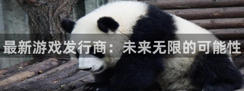 杏耀官网登录注册账号失败怎么办：最新游戏发行商：未来无限的可能性