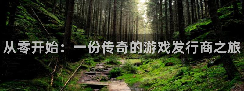 广州杏耀投资管理顾问有限公司：从零开始：一份传奇的游戏发行商之旅