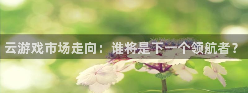 杏耀服装品牌怎么样