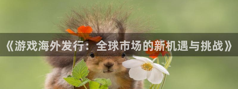 杏耀官网平台代理开号：《游戏海外发行：全球市场的新机遇与挑战》
