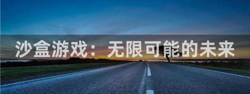 陕西杏耀子文化公司加我qq：沙盒游戏：无限可能的未来