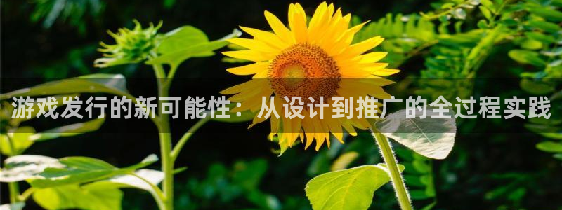 杏耀电子科技股票