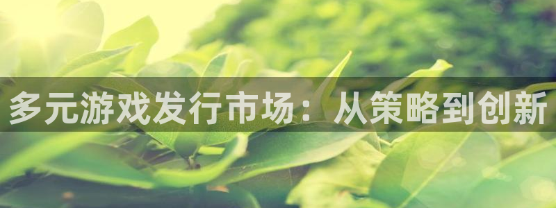 广东杏耀电子商务有限公司