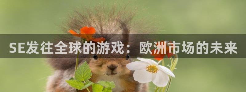 杏耀电子商务有限公司电话：SE发往全球的游戏：欧洲市场的未来