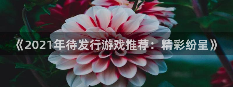 杏耀官网注册平台：《2021年待发行游戏推荐：精彩纷呈》