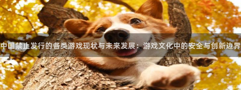 杏耀集团品牌策划机构：中国禁止发行的各类游戏现状与未来发展：游戏文化中的安全与创新边界
